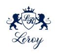 logo-leroy-securite